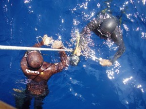 Altamarea Ustica Diving Center